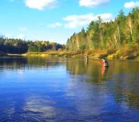 Fly Fishing